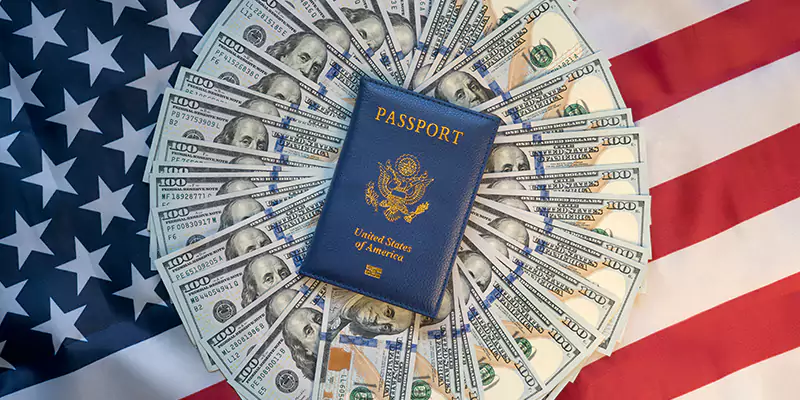 Why Choose Us for Your US Investment Visa Journey for Ireland?